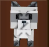 Raccoon (Super)