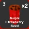 Maple Strawberry Seed