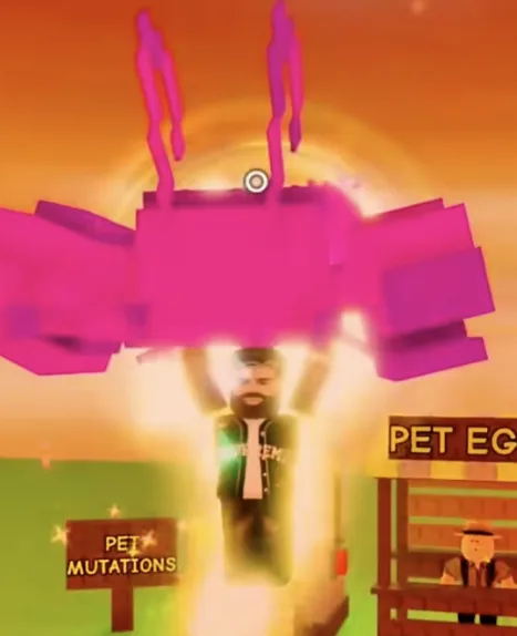 Rainbow Hatched Lobster Thermidor