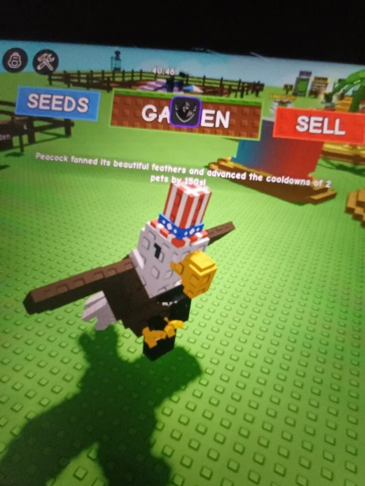Bald eagle