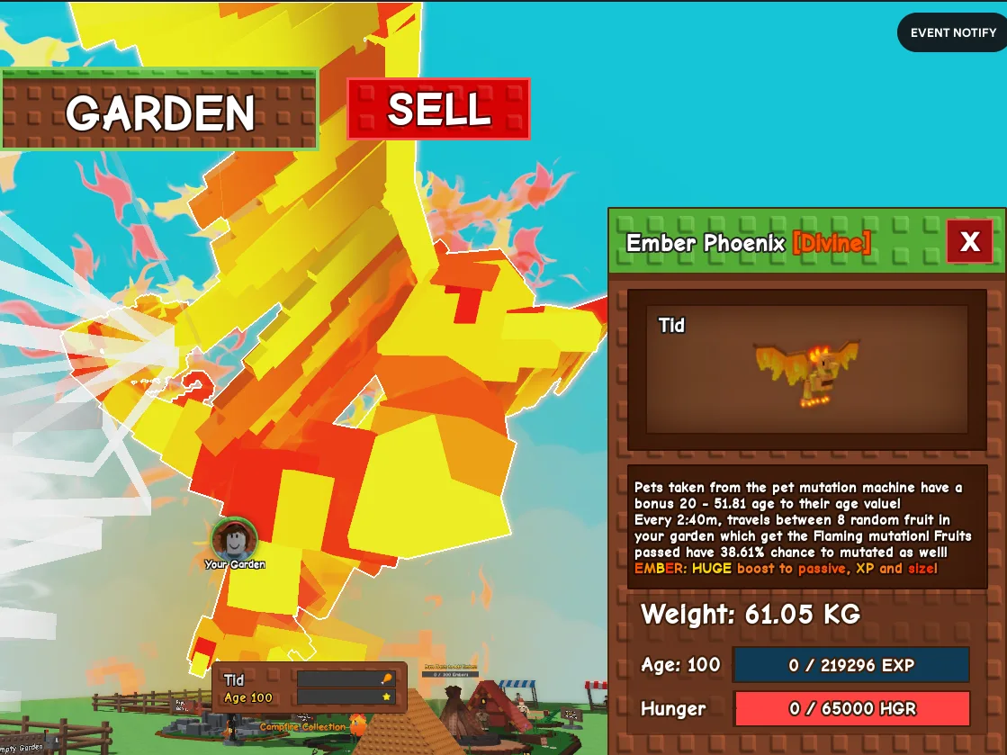 61.05kg Age 100 Ember Phoenix