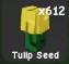 Tulip Seed (Uncommon) — Account account
