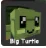 Turtle (Rare)