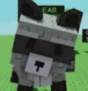 Raccoon (Super) — Account account