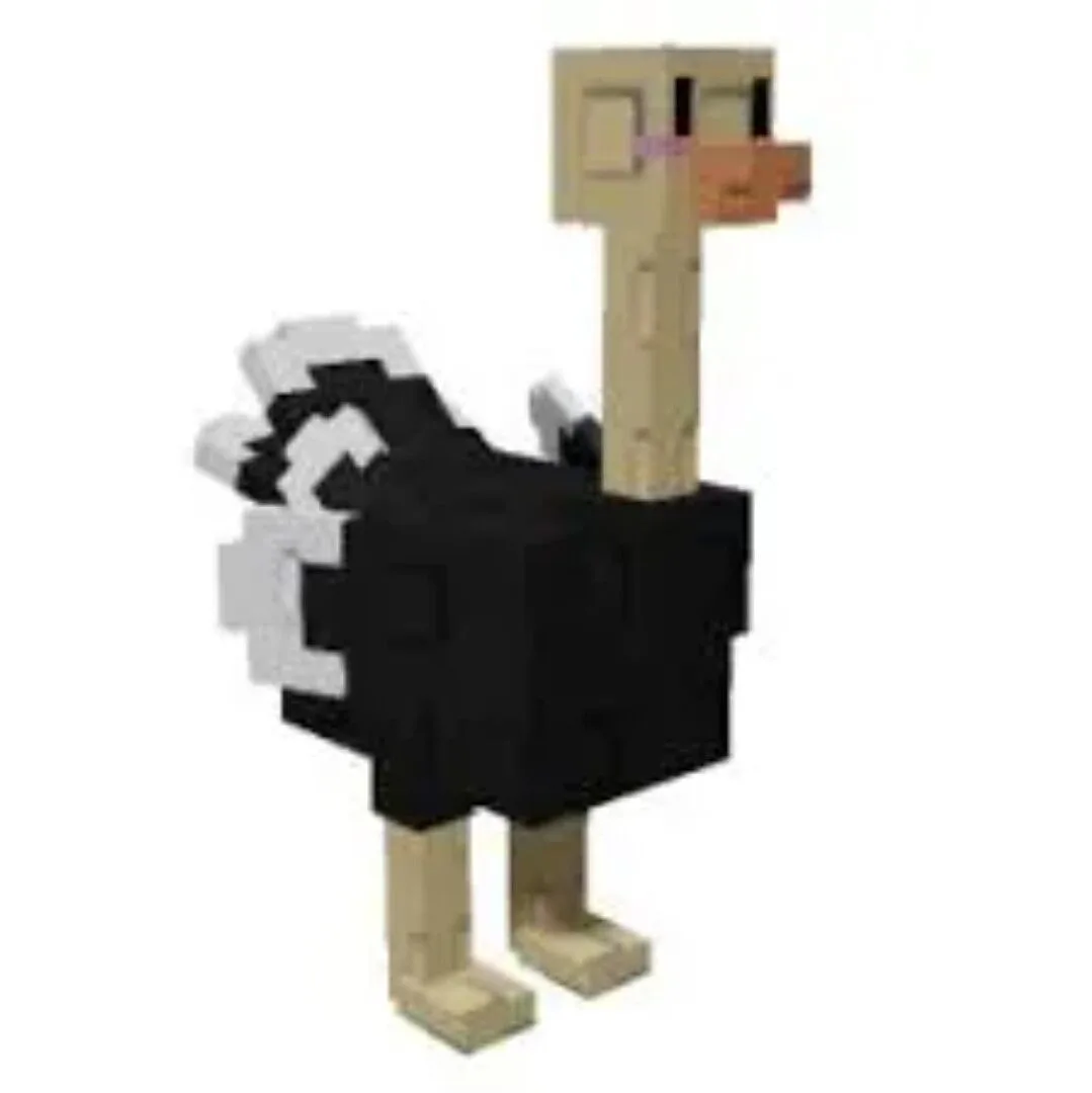 Ostrich GaG