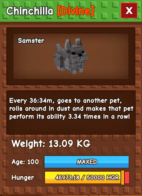 CHEAP CHINCHILA PET INSTANT DELIVERY