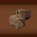 Capybara +2kg Base — Account account
