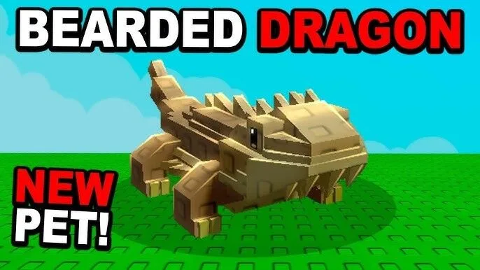 Bearded Dragon