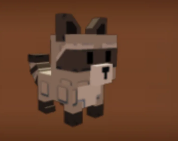 Raccoon