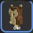 Owl — Account account