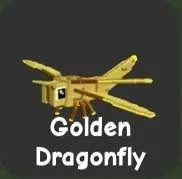 Golden Dragonfly — Account account