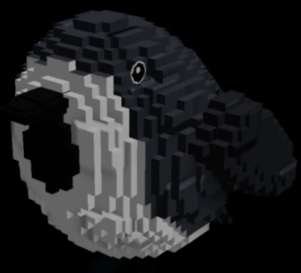 BIRB PET