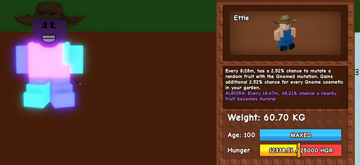60kg+ Aurora Gnome super handsome and cute... THIS IS NOT EGGNOG CHICK because i reached the limitation of pet type so i have to pick this XD. this