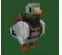 VERY BIG MAX Messenger Pigeon New Pet AGE 1 100 1.3KG