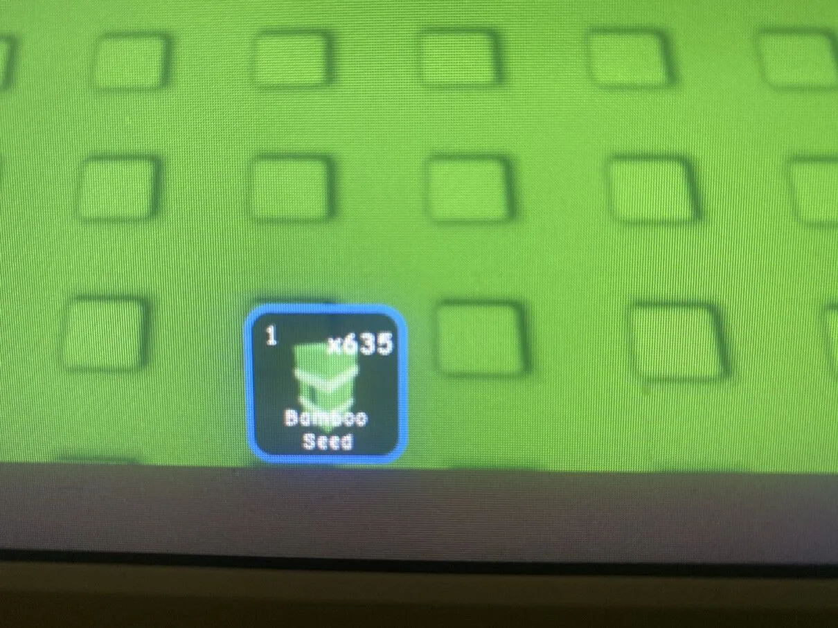 150 bamboo seed