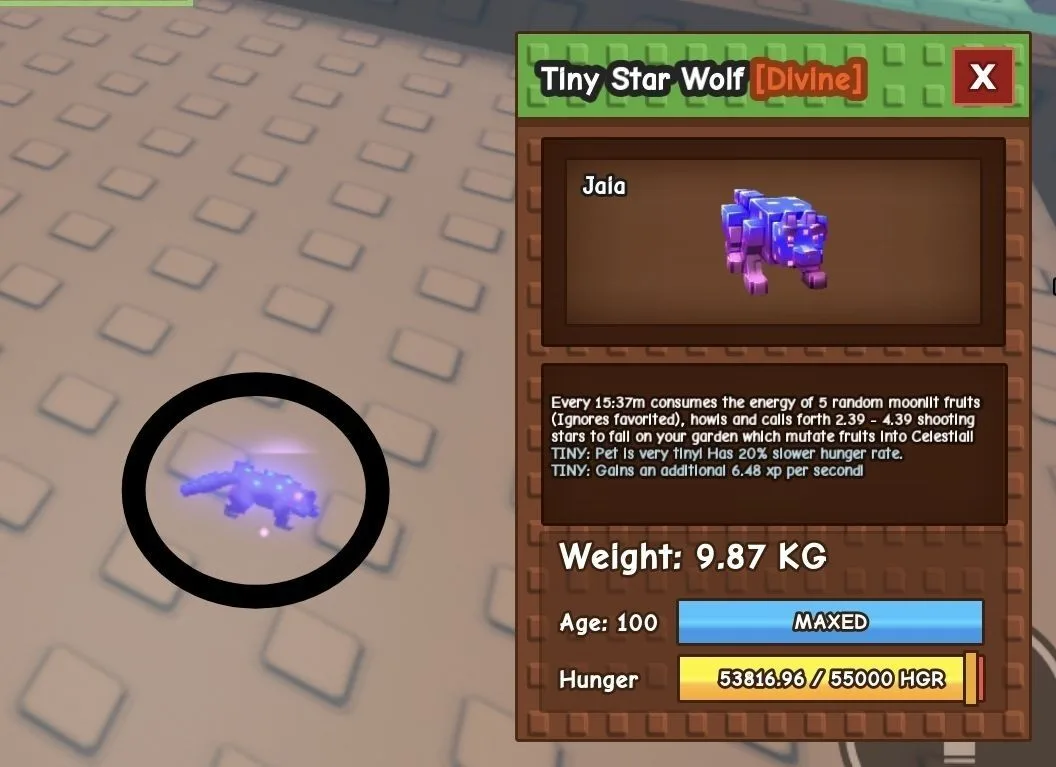 TINY Star Wolf - 9.87 KG (Age 100)