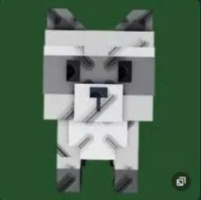 Raccoon (Super) — Account account