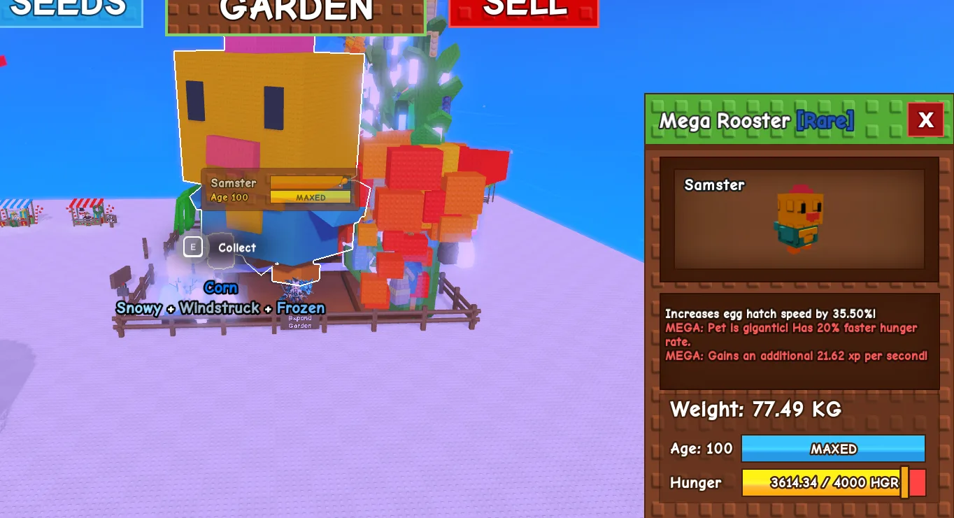 TITANIC HUGE GIANT MEGA ROOSTER (MEGA MUTATION) 77.49KG 100AGE // CLEAN // CHEAP // RUSH // RARE