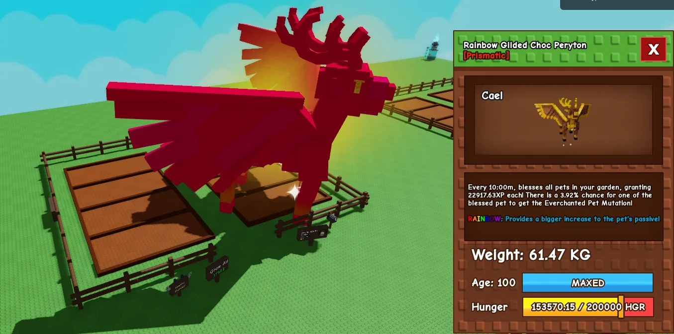 61.47kg+ Age 100 Rainbow Gilded Choc Peryton
