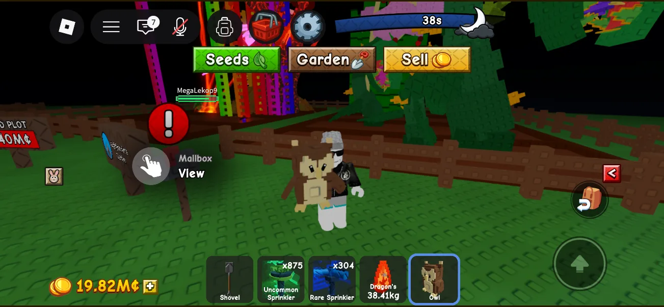 Owl (Rare) — Account account