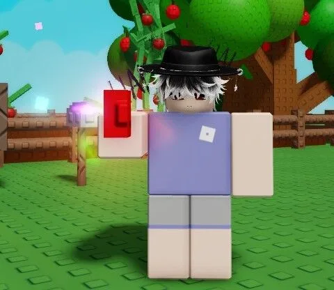 Rainbow Seed — Account account