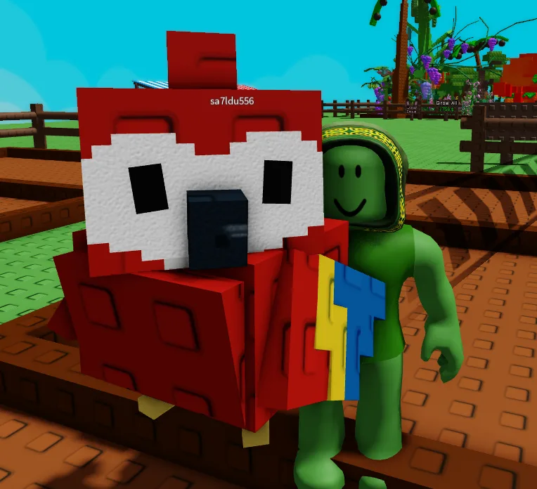 Scarlet Macaw — Account account