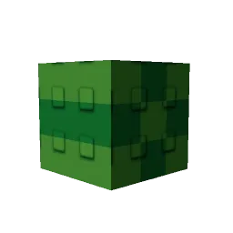 Watermelon Seed