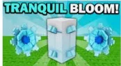 tranquil bloom — Account account