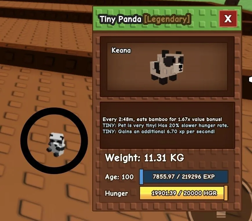 TINY Panda (black & white) - 11.31 KG (Age 100)
