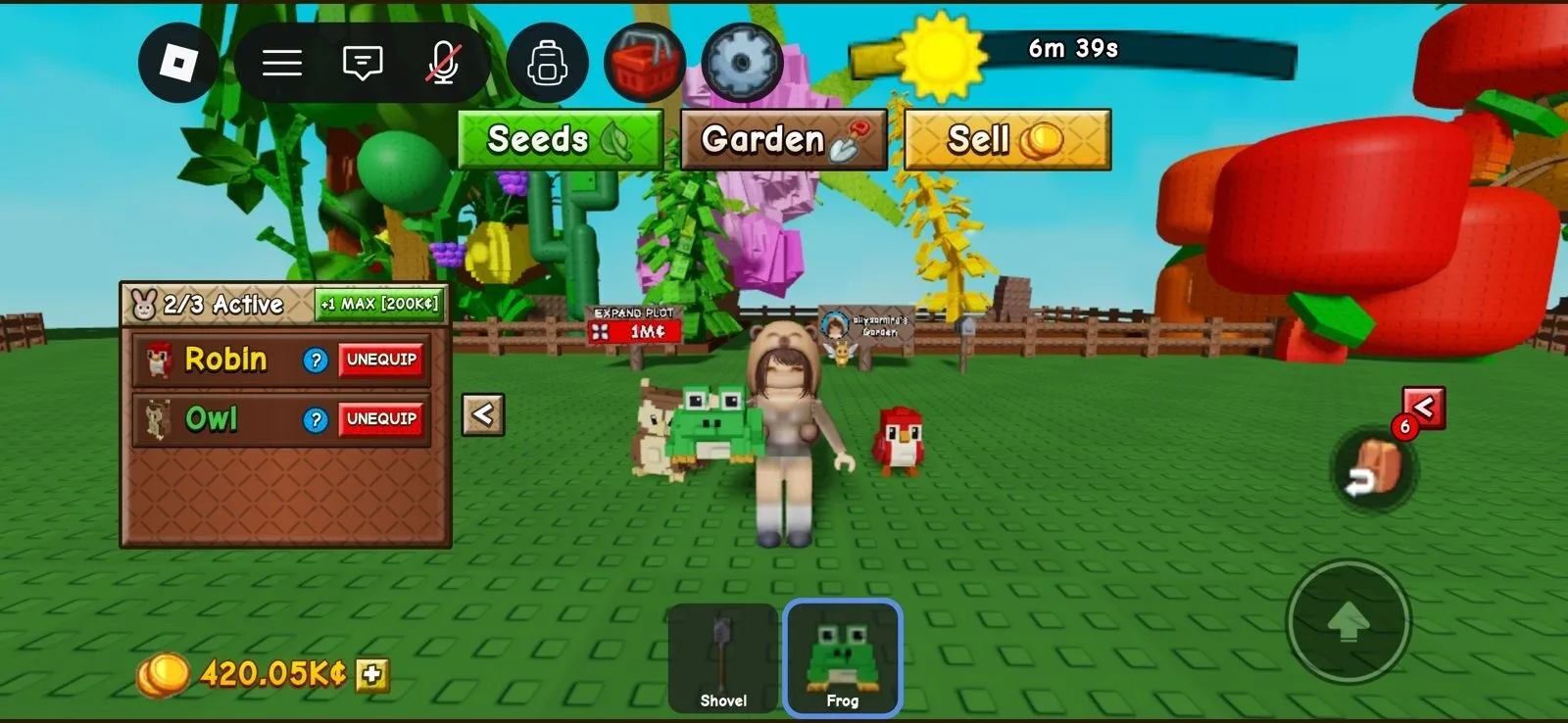 FROG PET — Account account