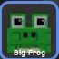 Frog (Common) — Account account