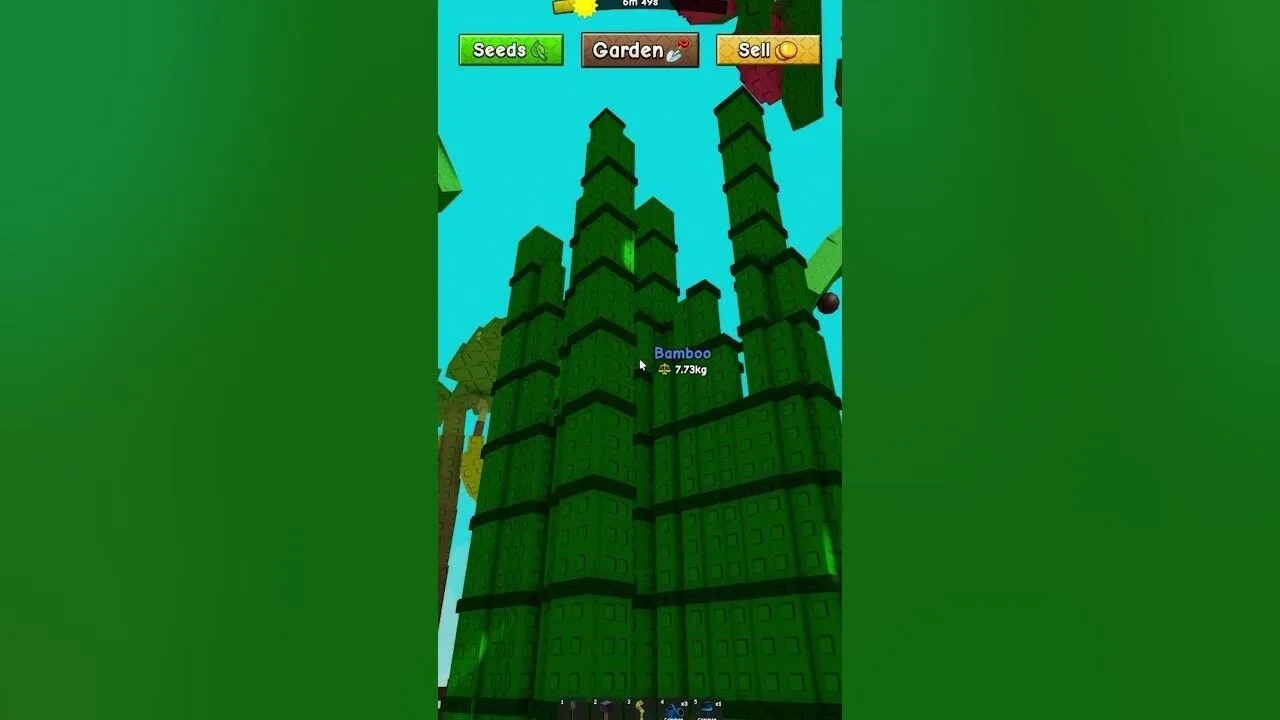 Bamboo Seed