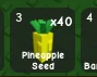 Pineapple Seed (Rare) — Account account
