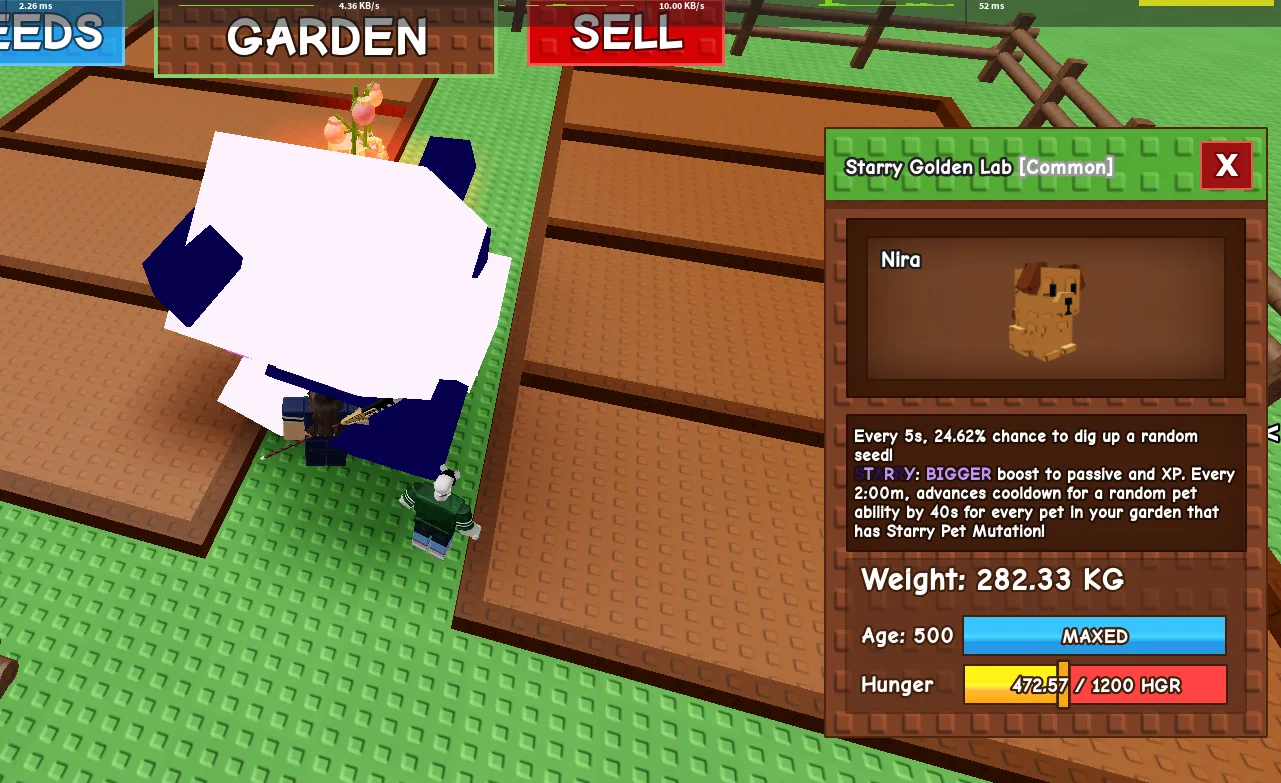 282KG Starry Golden Lab Common // super handsome // Age 500 MAXED // 24.62 seed dig // cooldown farm boost//not chinchilla//it is golden lab