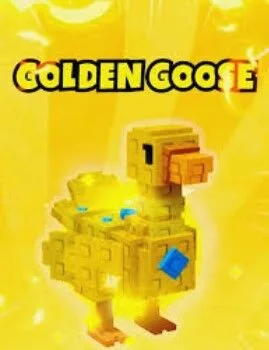 4x golden goose — Account account