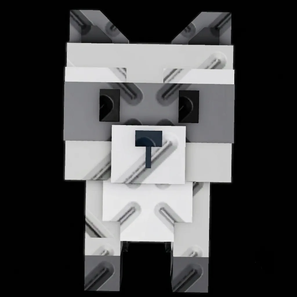 Raccoon