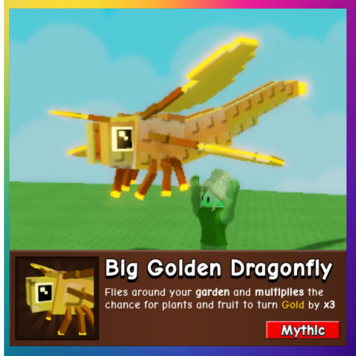Golden Dragonfly — Account account