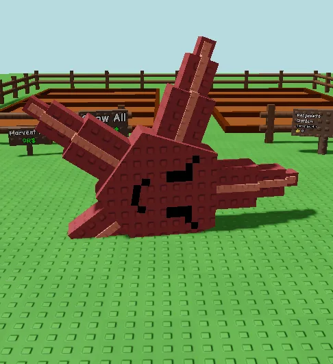 Mega Starfish (11,93 Kg, Age 53)