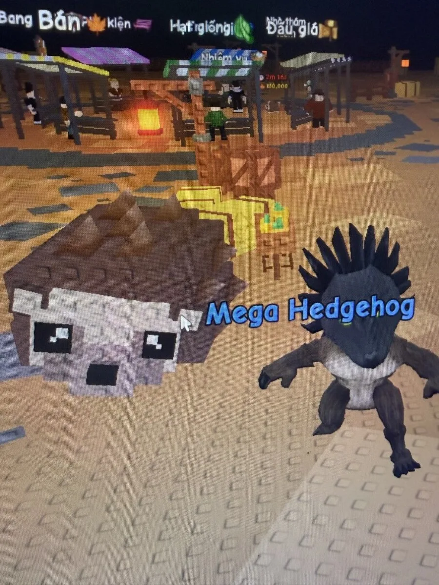 Hedgehog (Rare)