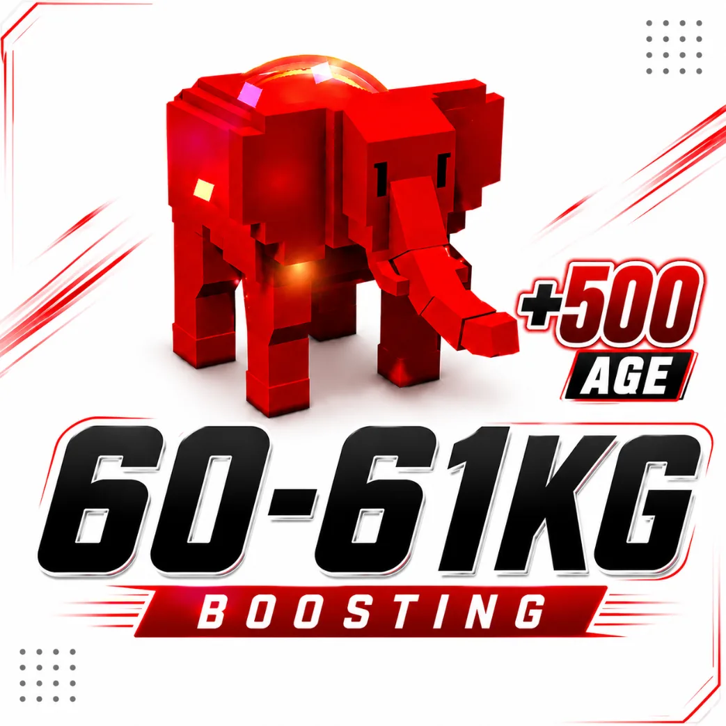 1x 60 61KG Weight Boost + Age 500