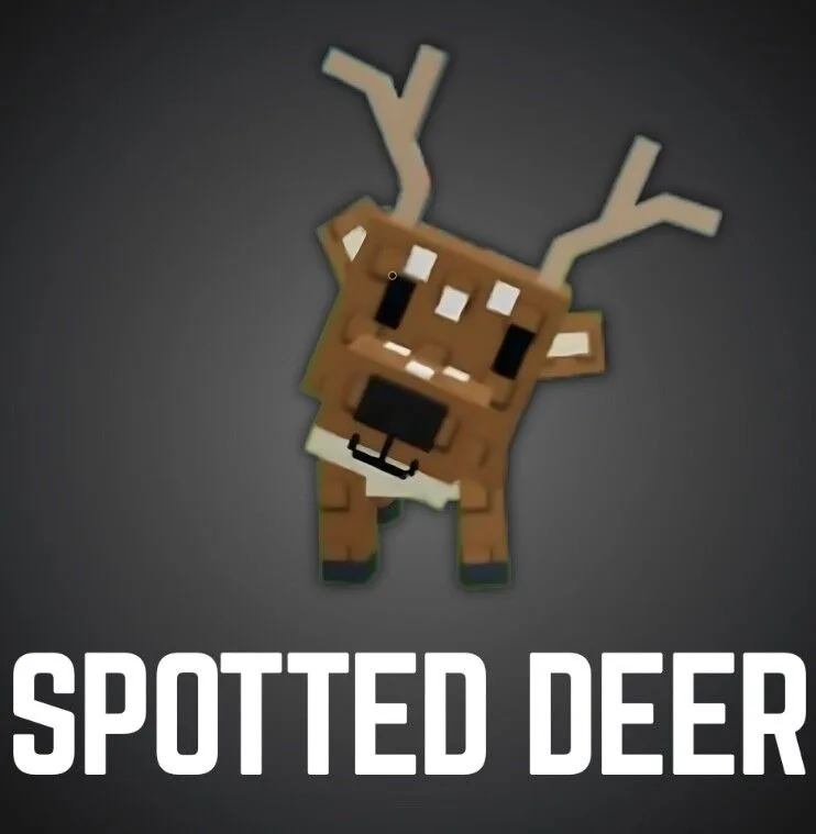 Spotted Deer - Pets