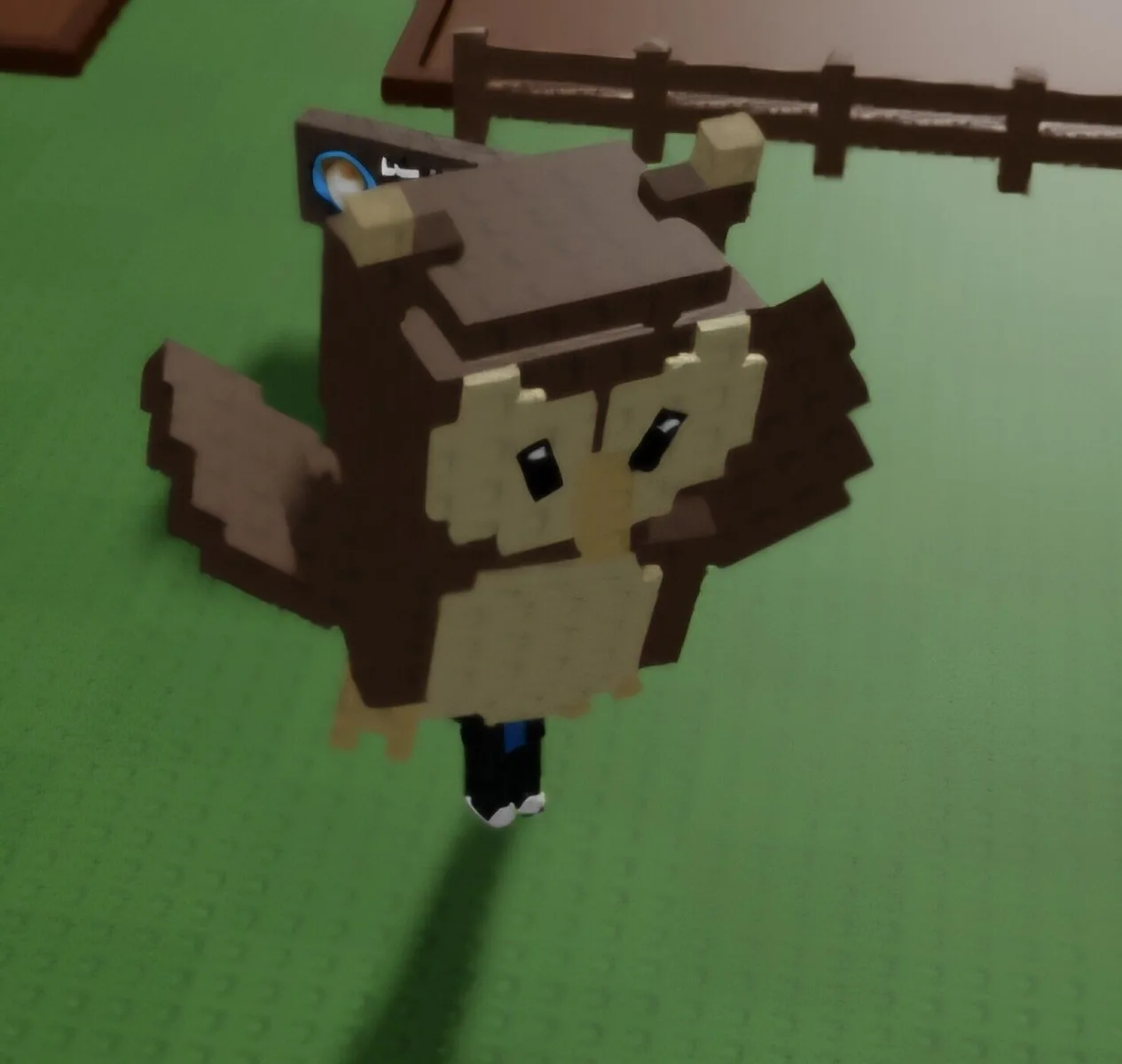 Owl (Common)