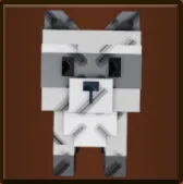 Raccoon (Super)