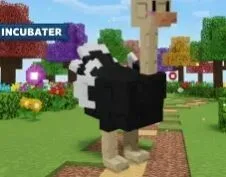 2x Ostrich — Account account