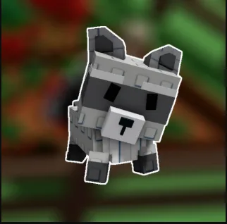Raccoon
