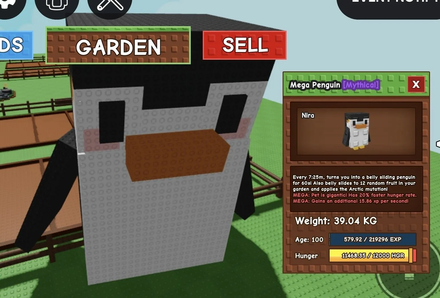 Huge MEGA Penguin - 39.04 KG (Age 100)