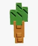 Carrot Seed (Common) — Account account