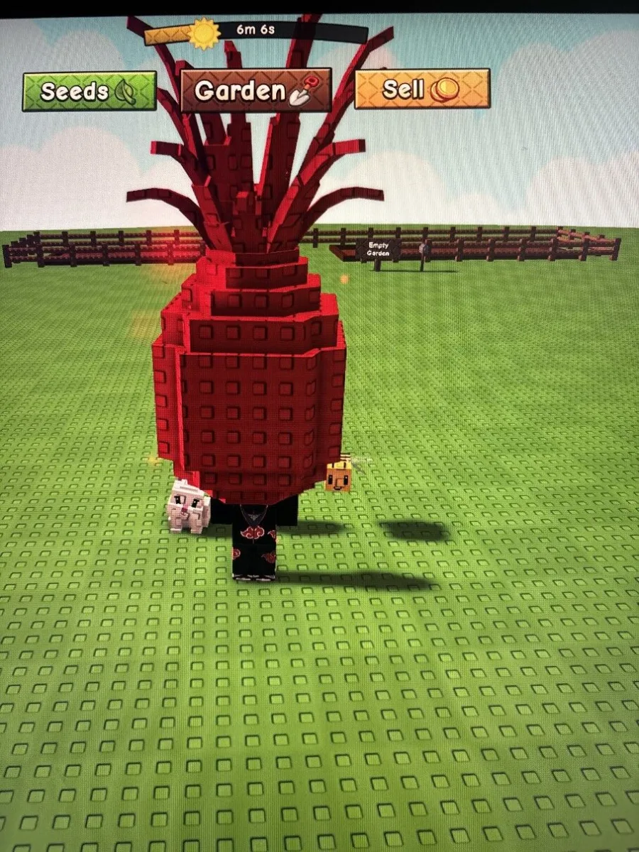 Pineapple Seed — Account account