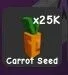 Carrot Seed — Account account