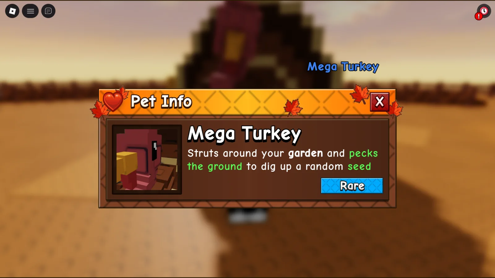 Turkey (Rare)